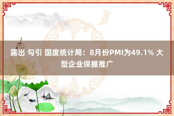 露出 勾引 国度统计局：8月份PMI为49.1% 大型企业保握推广