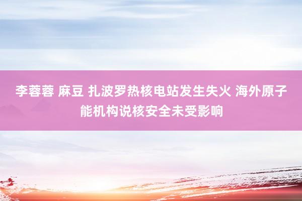 李蓉蓉 麻豆 扎波罗热核电站发生失火 海外原子能机构说核安全未受影响