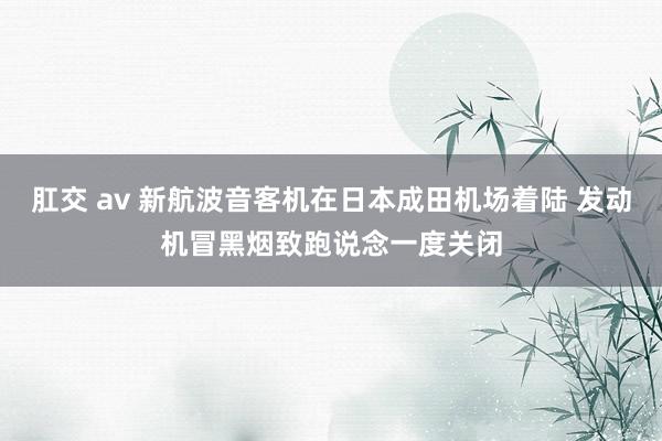 肛交 av 新航波音客机在日本成田机场着陆 发动机冒黑烟致跑说念一度关闭