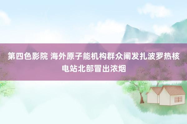 第四色影院 海外原子能机构群众阐发扎波罗热核电站北部冒出浓烟