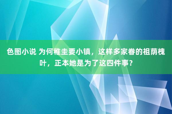 色图小说 为何稚圭要小镇，这样多家眷的祖荫槐叶，正本她是为了这四件事？