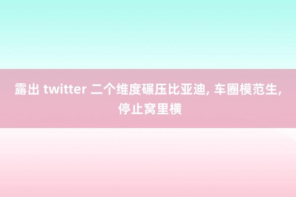 露出 twitter 二个维度碾压比亚迪， 车圈模范生， 停止窝里横