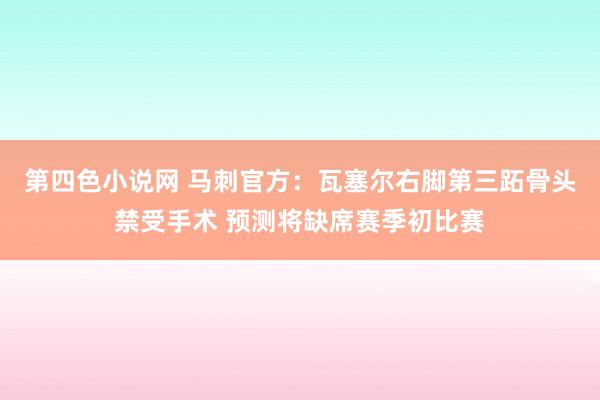 第四色小说网 马刺官方：瓦塞尔右脚第三跖骨头禁受手术 预测将缺席赛季初比赛