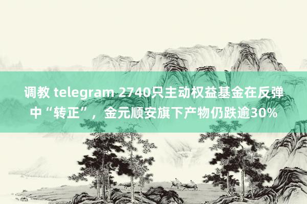 调教 telegram 2740只主动权益基金在反弹中“转正”，金元顺安旗下产物仍跌逾30%