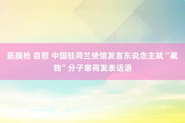 筋膜枪 自慰 中国驻荷兰使馆发言东说念主就“藏独”分子窜荷发表话语