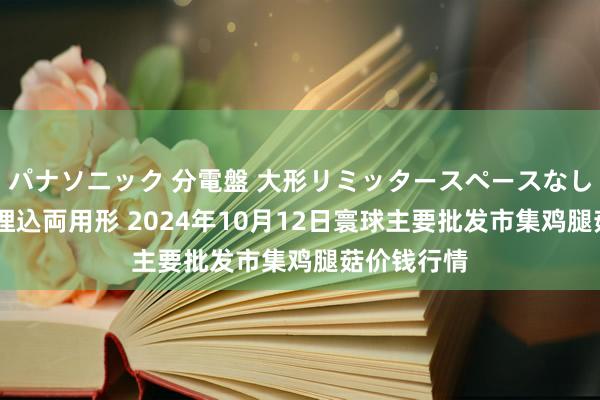 パナソニック 分電盤 大形リミッタースペースなし 露出・半埋込両用形 2024年10月12日寰球主要批发市集鸡腿菇价钱行情