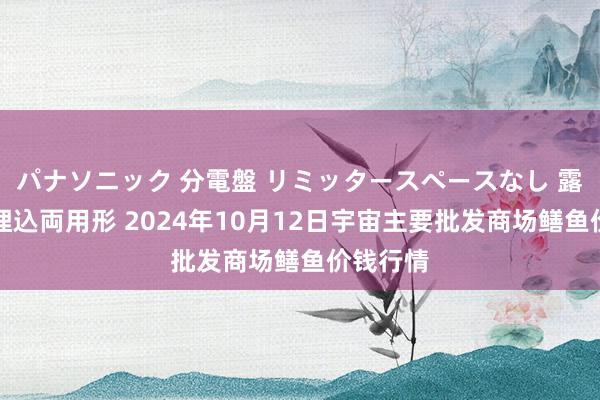 パナソニック 分電盤 リミッタースペースなし 露出・半埋込両用形 2024年10月12日宇宙主要批发商场鳝鱼价钱行情