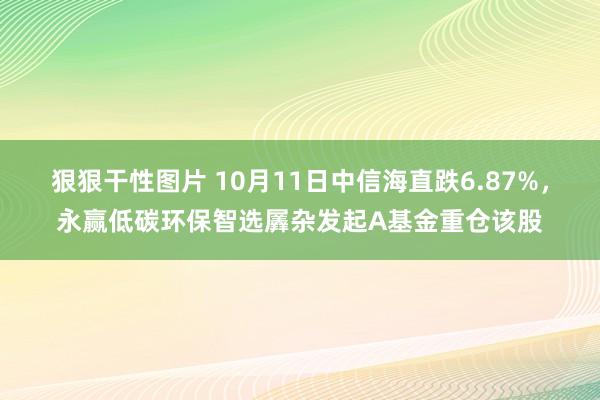 狠狠干性图片 10月11日中信海直跌6.87%，永赢低碳环保智选羼杂发起A基金重仓该股