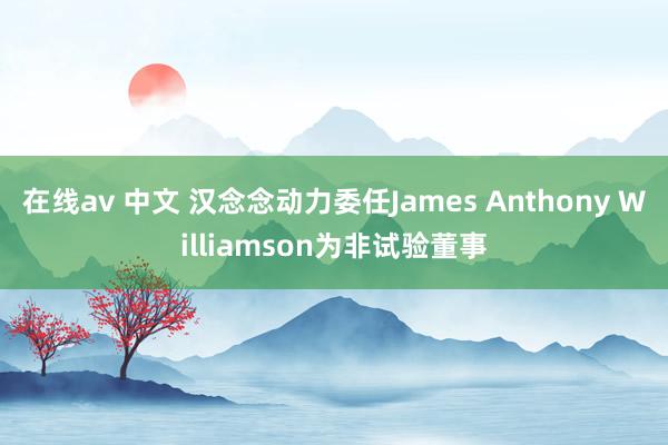 在线av 中文 汉念念动力委任James Anthony Williamson为非试验董事