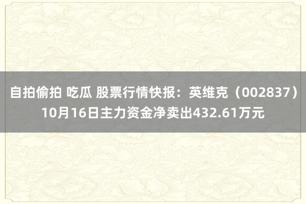 自拍偷拍 吃瓜 股票行情快报：英维克（002837）10月16日主力资金净卖出432.61万元