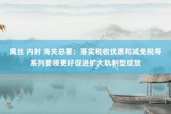 黑丝 内射 海关总署：落实税收优惠和减免税等系列要领更好促进扩大轨制型绽放