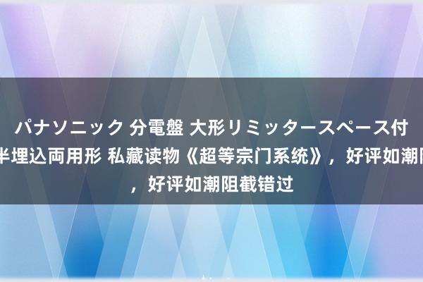 パナソニック 分電盤 大形リミッタースペース付 露出・半埋込両用形 私藏读物《超等宗门系统》，好评如潮阻截错过