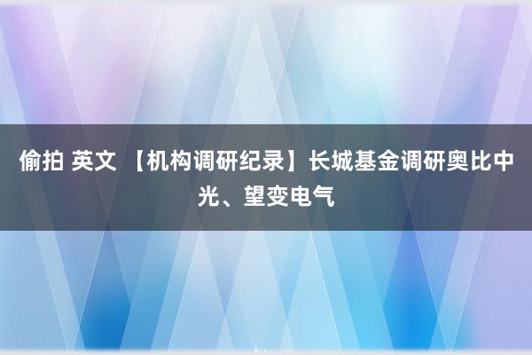 偷拍 英文 【机构调研纪录】长城基金调研奥比中光、望变电气