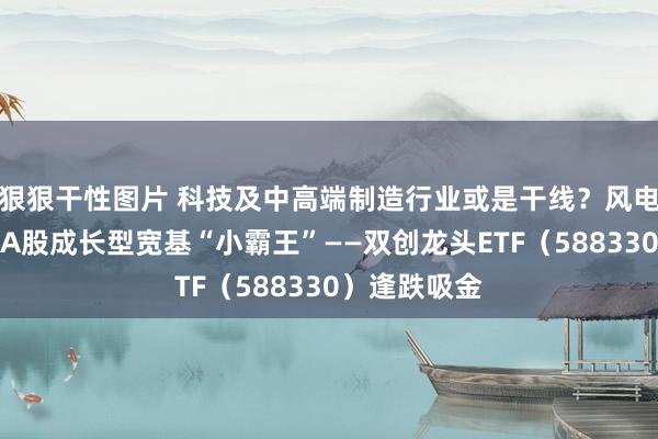 狠狠干性图片 科技及中高端制造行业或是干线？风电池块大涨，A股成长型宽基“小霸王”——双创龙头ETF（588330）逢跌吸金