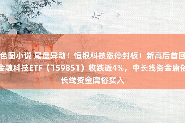 色图小说 尾盘异动！恒银科技涨停封板！新高后首回调，金融科技ETF（159851）收跌近4%，中长线资金庸俗买入