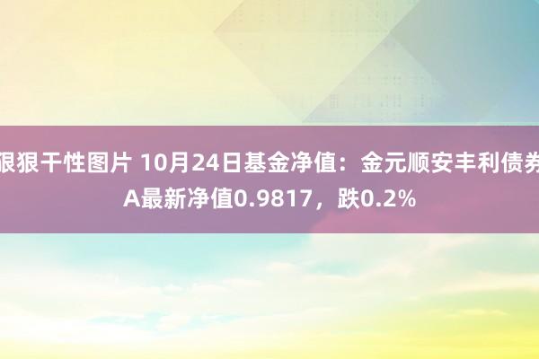 狠狠干性图片 10月24日基金净值：金元顺安丰利债券A最新净值0.9817，跌0.2%