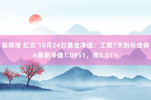 翁雨澄 肛交 10月24日基金净值：工银7天剖析债券A最新净值1.0951，涨0.01%