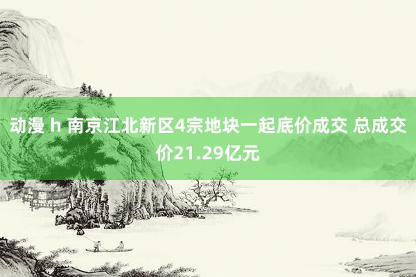 动漫 h 南京江北新区4宗地块一起底价成交 总成交价21.29亿元