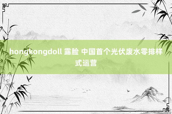 hongkongdoll 露脸 中国首个光伏废水零排样式运营