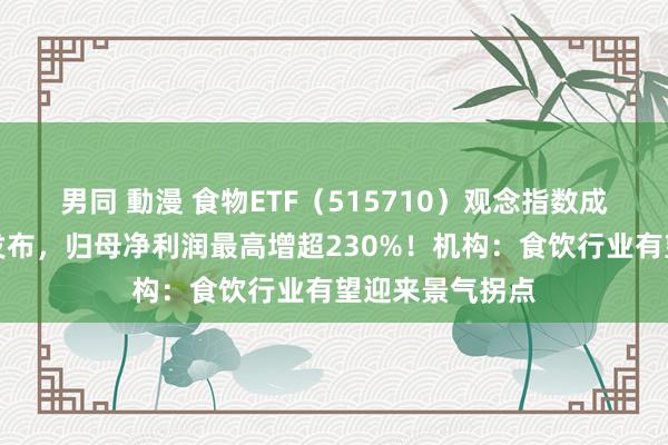 男同 動漫 食物ETF（515710）观念指数成份股季报密集发布，归母净利润最高增超230%！机构：食饮行业有望迎来景气拐点