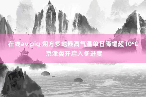 在线av pig 朔方多地最高气温单日降幅超10℃ 京津冀开启入冬进度