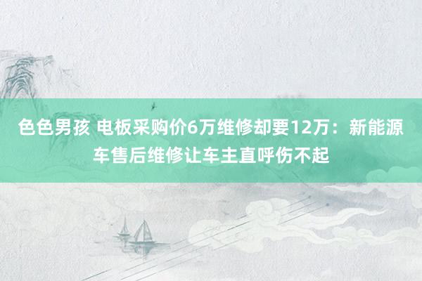 色色男孩 电板采购价6万维修却要12万：新能源车售后维修让车主直呼伤不起