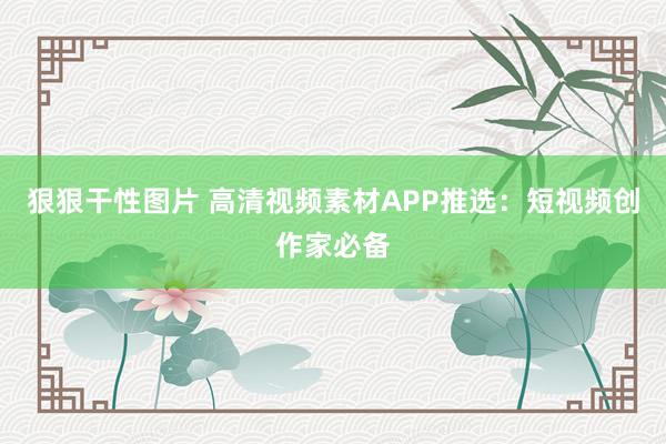 狠狠干性图片 高清视频素材APP推选：短视频创作家必备