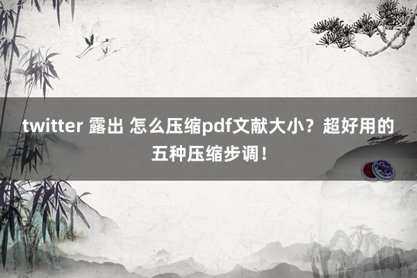 twitter 露出 怎么压缩pdf文献大小？超好用的五种压缩步调！