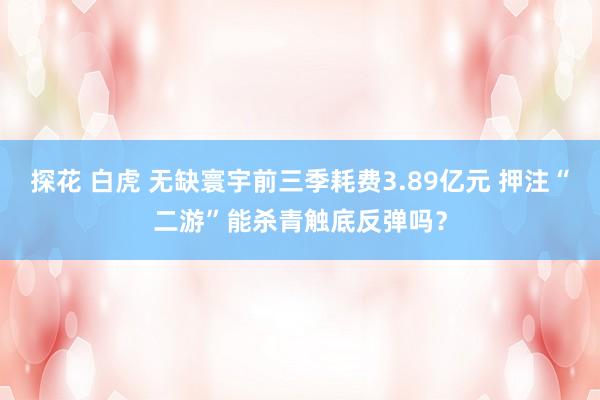 探花 白虎 无缺寰宇前三季耗费3.89亿元 押注“二游”能杀青触底反弹吗？