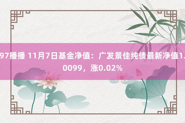 97播播 11月7日基金净值：广发景佳纯债最新净值1.0099，涨0.02%