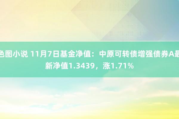 色图小说 11月7日基金净值：中原可转债增强债券A最新净值1.3439，涨1.71%