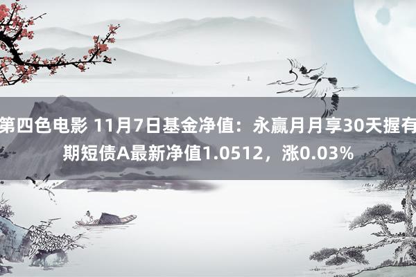 第四色电影 11月7日基金净值：永赢月月享30天握有期短债A最新净值1.0512，涨0.03%