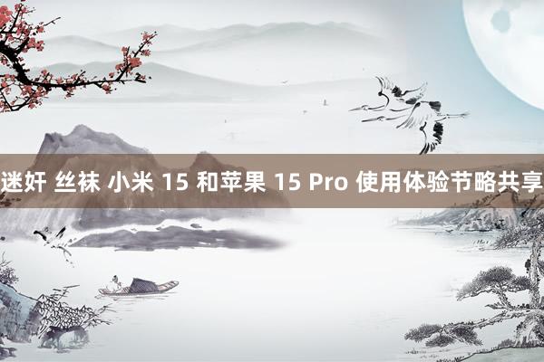 迷奸 丝袜 小米 15 和苹果 15 Pro 使用体验节略共享