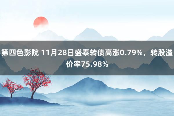 第四色影院 11月28日盛泰转债高涨0.79%，转股溢价率75.98%