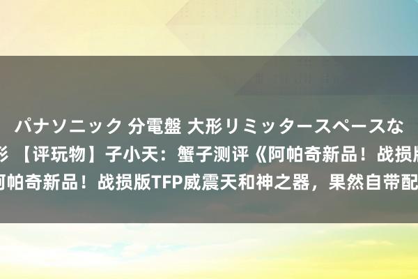 パナソニック 分電盤 大形リミッタースペースなし 露出・半埋込両用形 【评玩物】子小天：蟹子测评《阿帕奇新品！战损版TFP威震天和神之器，果然自带配件包？》