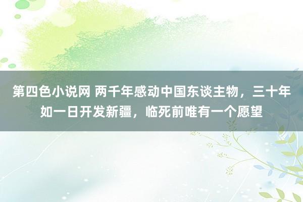 第四色小说网 两千年感动中国东谈主物，三十年如一日开发新疆，临死前唯有一个愿望