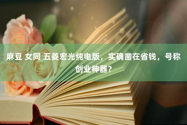 麻豆 女同 五菱宏光纯电版，实确凿在省钱，号称创业神器？