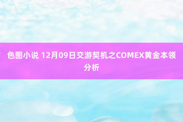 色图小说 12月09日交游契机之COMEX黄金本领分析