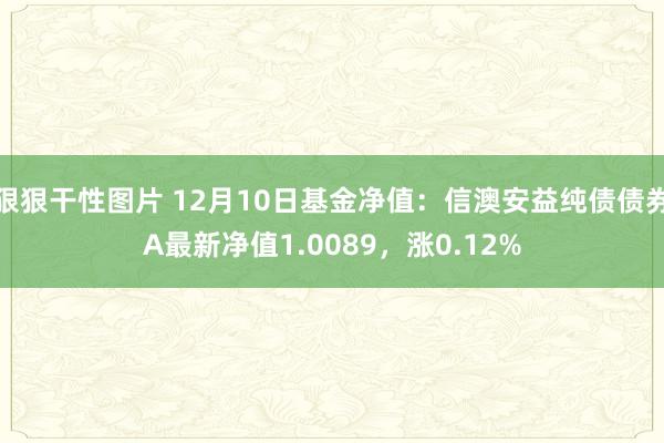 狠狠干性图片 12月10日基金净值：信澳安益纯债债券A最新净值1.0089，涨0.12%