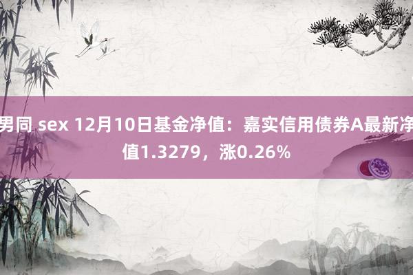 男同 sex 12月10日基金净值：嘉实信用债券A最新净值1.3279，涨0.26%