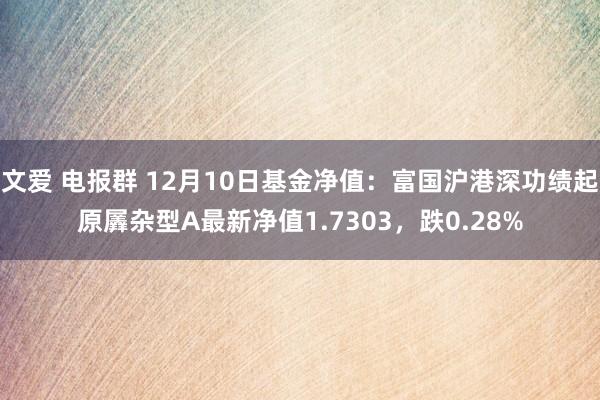 文爱 电报群 12月10日基金净值：富国沪港深功绩起原羼杂型A最新净值1.7303，跌0.28%