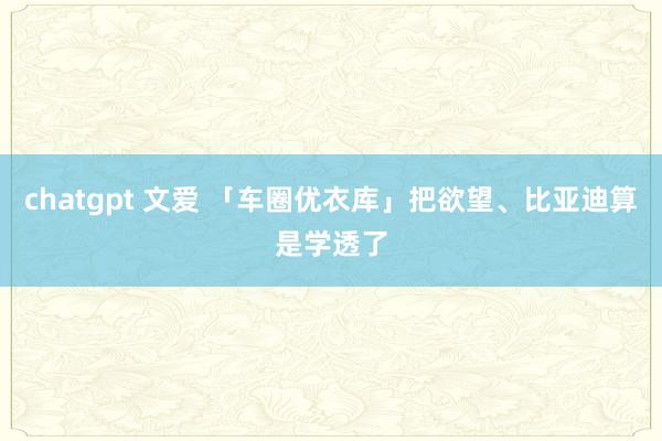 chatgpt 文爱 「车圈优衣库」把欲望、比亚迪算是学透了