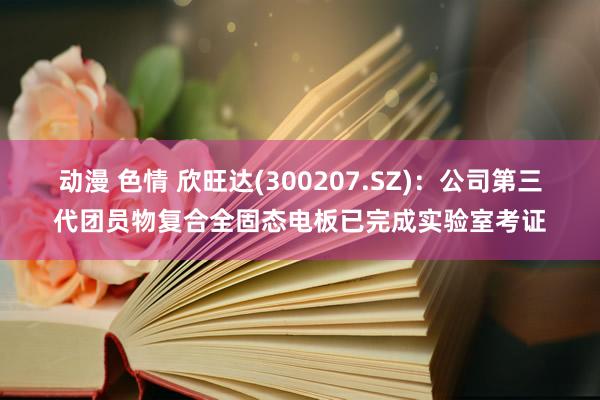 动漫 色情 欣旺达(300207.SZ)：公司第三代团员物复合全固态电板已完成实验室考证