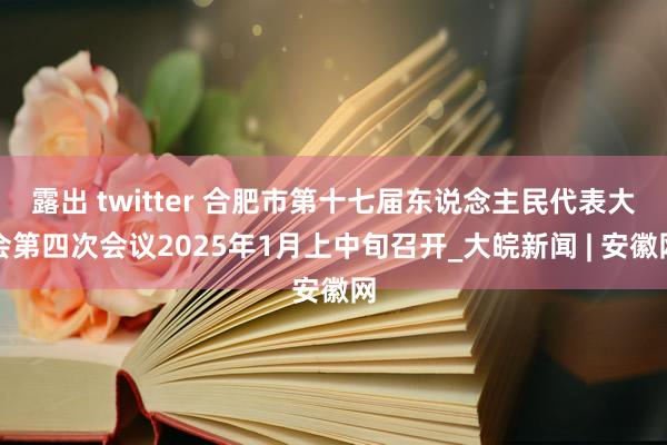 露出 twitter 合肥市第十七届东说念主民代表大会第四次会议2025年1月上中旬召开_大皖新闻 | 安徽网