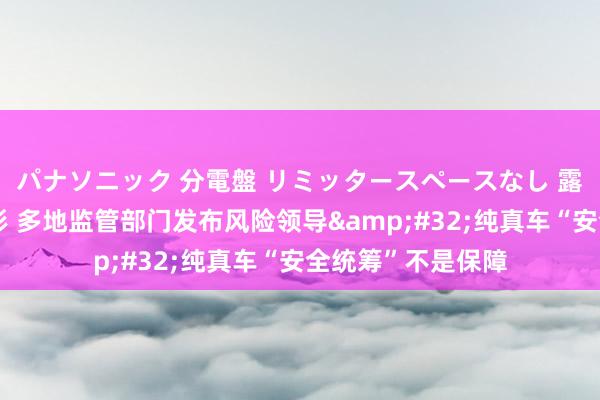 パナソニック 分電盤 リミッタースペースなし 露出・半埋込両用形 多地监管部门发布风险领导&#32;纯真车“安全统筹”不是保障