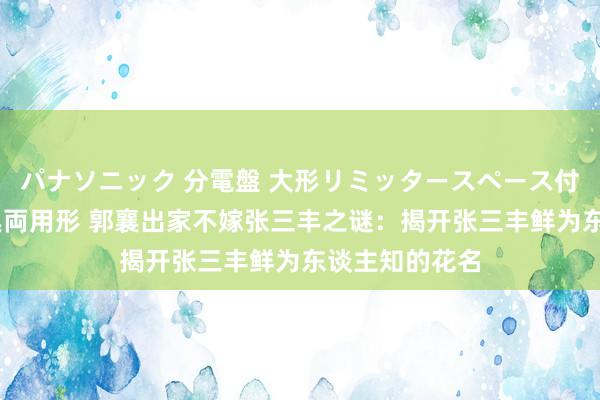 パナソニック 分電盤 大形リミッタースペース付 露出・半埋込両用形 郭襄出家不嫁张三丰之谜：揭开张三丰鲜为东谈主知的花名