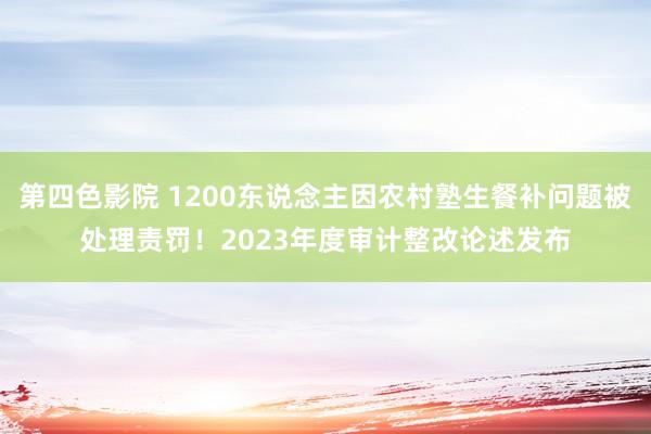 第四色影院 1200东说念主因农村塾生餐补问题被处理责罚！2023年度审计整改论述发布