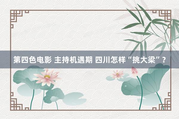 第四色电影 主持机遇期 四川怎样“挑大梁”？