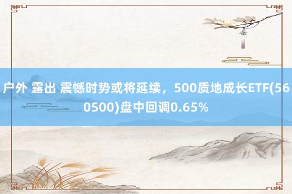 户外 露出 震憾时势或将延续，500质地成长ETF(560500)盘中回调0.65%