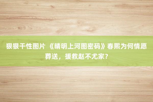 狠狠干性图片 《晴明上河图密码》春熙为何情愿葬送，援救赵不尤家？